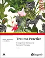 Produktbild: Trauma Practice Anna B. Baranowsky