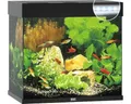 Produktbild: Aquarium JUWEL Lido 120 mit LED-Beleuchtung, Pumpe, Filter, Heizer ohne Untersch