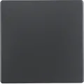 Produktbild: Berker 16206086 Wippe Q.1/Q.3 anthrazit/samt