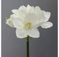 Produktbild: Kunstblume Kunstblume AMARYLLIS ca. 66cm. 1 Stängel mit 4 Blüten., Gasper, Höhe 66.00 cm