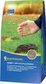 Produktbild: Kiepenkerl Herbst- und Nachsaatrasen 1 kg