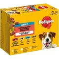 Produktbild: Pedigree Hunde-Nassfutter Multipack Gemischte Selektion in Gelee 12 x 100 g
