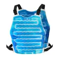 Produktbild: Alphacool Original Kühlende Eisweste für Damen und Herren - Wiederverwendbare Flexible Kühlweste mit Verstellbaren Trägern - Einheitsgröße Weste für Heißes Wetter Arbeiten im Freien, Blau,