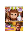 Produktbild: Little Live Pets My Baby Monkey