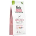 Produktbild: BRIT CARE Sustainable Sensitive Insect & Fish 12kg + LAB V 500ml -5% billiger