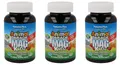 Produktbild: Natures Plus MAGKidz - 3 x 90 Tabletten (111,26 EUR/kg)