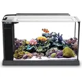 Produktbild: AQUARIEN Fluval Evo Meeresaquarium, Schwarz, 19L