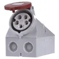Produktbild: Mennekes Wanddose TwinCONTACT 16A,5p,6h,400V,IP44 419