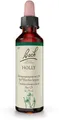 Produktbild: Nelsons GmbH Bachblüten Holly 20 ml Tropfen - 20 ml Tropfen 00059909