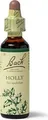 Produktbild: BACHBLÜTEN Holly Tropfen 20 ml