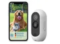 Produktbild: PetTec Pet Cam Free