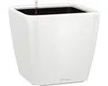 Produktbild: Pflanzkübel Lechuza Quadro 28 x 28 x H 26 cm weiß inkl. Erdbewässerungsystem Pfl