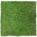 Produktbild: Jangal Wandpaneel Modular Wall Forest Green Ancient Tree 52 x 52 cm