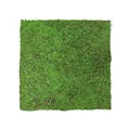 Produktbild: JANGAL Modular Wall Pflanzenwand  520 x 520 mm Nature Design Forest Green Tree