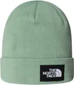 Produktbild: THE NORTH FACE DOCK WORKER RECYCLED Mütze 2026 slate moss