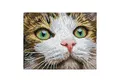 Produktbild: Diamond Dotz Malen nach Zahlen Diamond Painting Katze mit grünen Augen