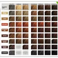 Produktbild: SANTE Naturkosmetik Pflanzenhaarfarbe Terra 100g Bio-Henna Cassia vegan getestet