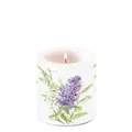 Produktbild: Kerze klein – Candle small – Format: Ø 7,5 cm x 9 cm – Brenndauer: 35 Std. - 1 K