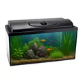 Produktbild: Aquarium rechteckig 50x30x30 cm 45 L mit Abdeckung inkl. LED Beleuchtung Set 50