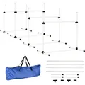 Produktbild: PawHut Agility Hürdenset Hunde Training Set 4 Hürden Slalom Stangen Kunststoff Weiß 99x65x94cm für aktives Hundetraining   Aosom.de