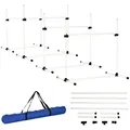 Produktbild: PawHut Agility Hürdenset Slalom Stangen Hunde Training Set 4 x Hürden, Kunststoff, Weiß, 95x65x95cm