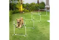Produktbild: PawHut Agility-Hürde Slalom Stangen, Hunde Training Set, Kunststoff, Hunde Hürden-Set (4-tlg) für Hunde, Weiß