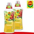 Produktbild: COMPO 2 x 1 l Qualitäts-Blumen Dünger
