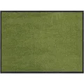 Produktbild: Salonloewe Fußmatte waschbar Salbei 60x85 cm Sauberlaufmatte, Fußabtreter außen, Motiv-Fußmatte, Wohnmatte