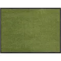 Produktbild: Salonloewe Fußmatte Salbei 60x85 cm Schmutzfangmatte