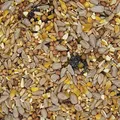 Produktbild: Wildvogelfutter ohne Schalen 2,5kg - Ganzjahresfutter Winterfutter Sommerfutter Winterstreufutter