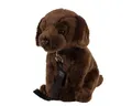 Produktbild: Teddys Rothenburg Kuscheltier Labrador Hund dunkelbraun sitzend mit Leine 35 cm Plüschhund (Stofftier, Plüschtier, Stoffhund), mit Leine
