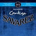 Produktbild: Savarez Cantiga 510 AJ high tension Nylon Bässe versilbert