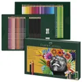 Produktbild: FABER-CASTELL Malset Polychromos & Pitt Graphite Matt 210054