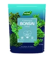 Produktbild: Westland Pflanzerde Westland Bonsai Erde torffrei 4 L, Torffrei
