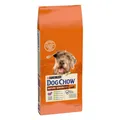 Produktbild: Hundefutter Purina Dog Chow Mature Senior Senior Lamm 14 Kg
