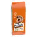 Produktbild: 7613287575456 PURINA Dog Chow Mature Senior mit Lamm - Hundetrockenfutter - 14 k