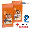 Produktbild: 2 Säcke - PURINA Dog Chow → SENIOR, Lamm - 14 kg - Hund, Hunde (ex Tonus)