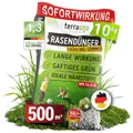 Produktbild: TerraUno Rasendünger Frühjahr/Sommer I Sofortwirkung für saftiges grün I 10 kg für 500 m² I gesunder Rasen verdrängt Moos und Unkraut I NPK Dünger Rasen I Gegen Trockenstress I Für den Streuwagen