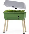 Produktbild: Gusta Garden Hochbeet SAMMY SALAD (inkl. Wassertank & Wasserstandsanzeige), Platzsparendes Hochbeet für den Balkon, dunkelgrün mit Frühbeethaube