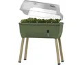 Produktbild: Hochbeet auf Stelzen Gusta Garden Sammy Salad inkl. Deckel 79 x 37,5 x 95 cm dun