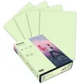 Produktbild: Inapa tecno colors 2100011399, hellgrün, Kopierpapier, 80g/qm, A4, 500 Blatt, Coloured Paper