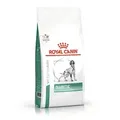Produktbild: ROYAL CANIN Diabetic DS 37 12kg