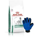 Produktbild: ROYAL CANIN Diabetic DS 37 12kg + Kämm Handschuh GRATIS!