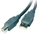 Produktbild: Vivanco USB 2.0 Kabel 5.0m Typ A Stecker - Typ B Stecker grau