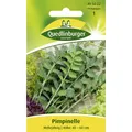 Produktbild: Pimpinelle