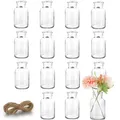 Produktbild: Mini Glasvasen - 15er Set Kleine Vasen für Tischdeko Hochzeit - Deko Vasen Se...