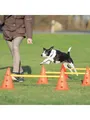 Produktbild: Trixie Hundetraining Pylon-Hindernisset (6 Pylonen - 3 Stangen) TX32091