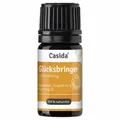 Produktbild: GLÜCKSBRINGER Duftmischung 5 ml