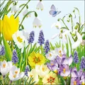 Produktbild: Ambiente - Servietten - Spring Time - Frühling / Blumen / Schmetterling