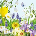 Produktbild: 20 Servietten Spring Time Bunte Frühlingswiese Krokus Narzisse Blumen 33x33cm